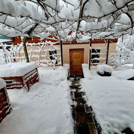 Vineyard Cottage Matej Trebnje Kültér fotó